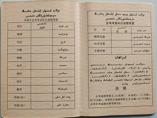 2001年新疆高中毕业证成绩单