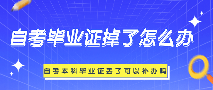 自考本科毕业证掉了怎么办？能补办吗？