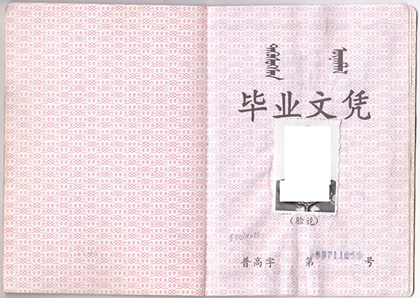 内蒙古2005年高中毕业证样本（内蒙古普通高中毕业证图片）