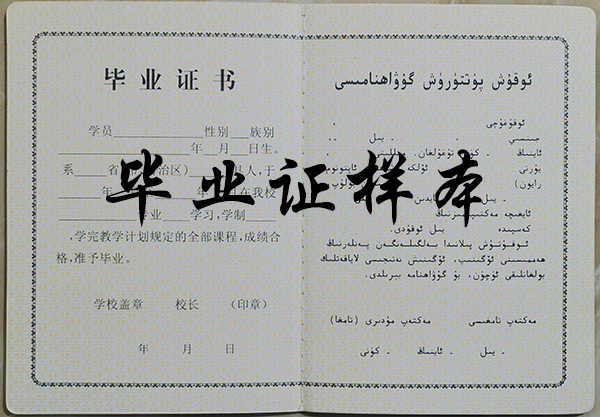 新疆成人中等专业学校毕业证样本（建设兵团版）
