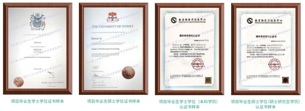 如何进行学历、学位及成绩认证？详细指南来了！