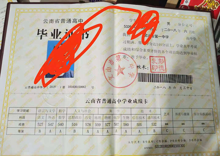 云南省高中毕业证编号位置及填写规则